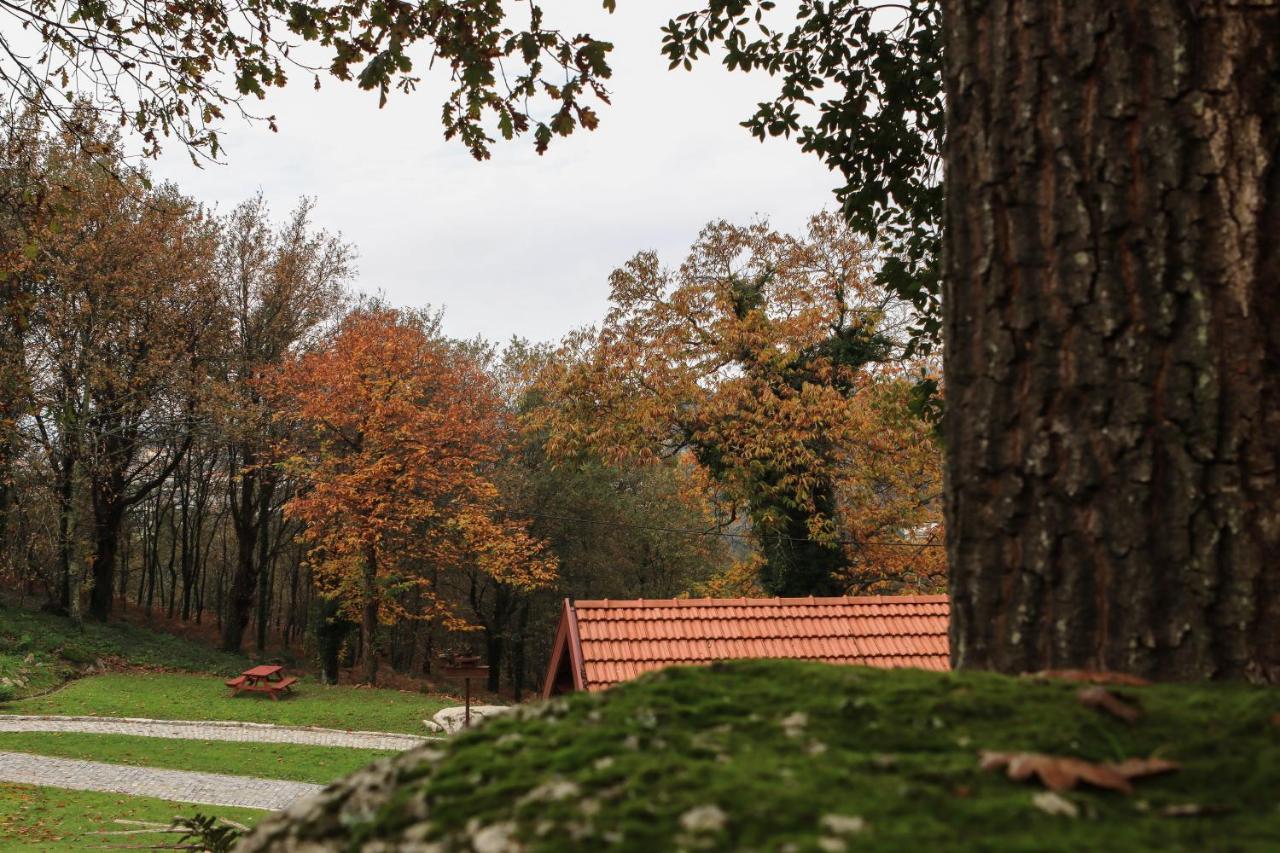 Quinta Pousada de Fora Guimarães Exterior foto