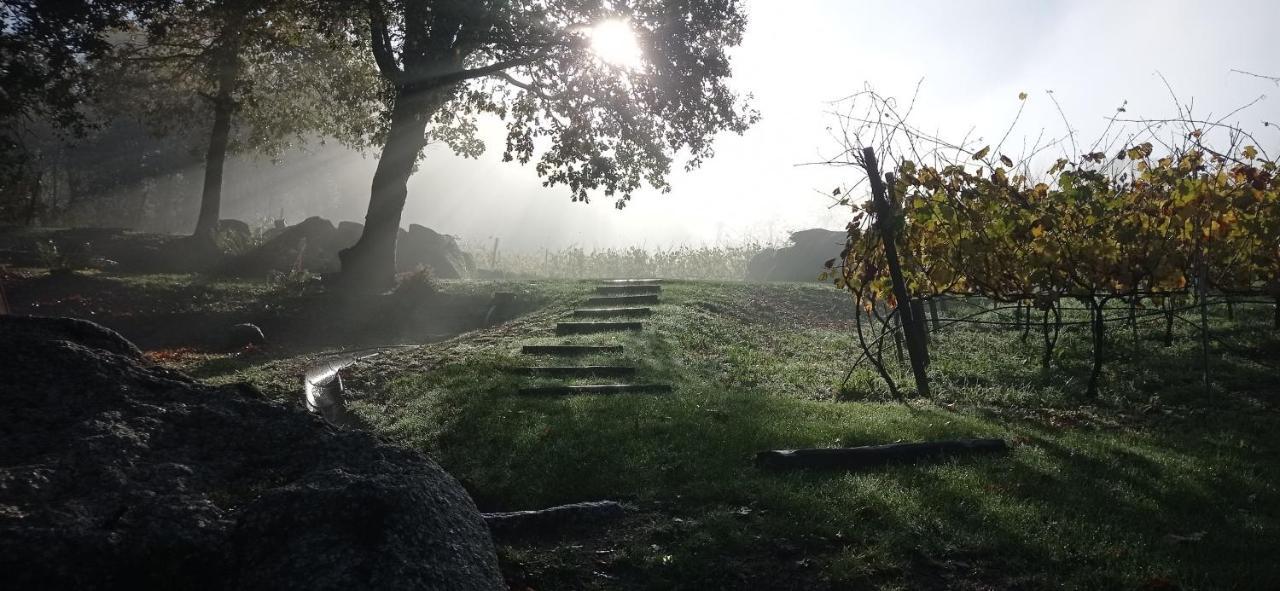 Quinta Pousada de Fora Guimarães Exterior foto